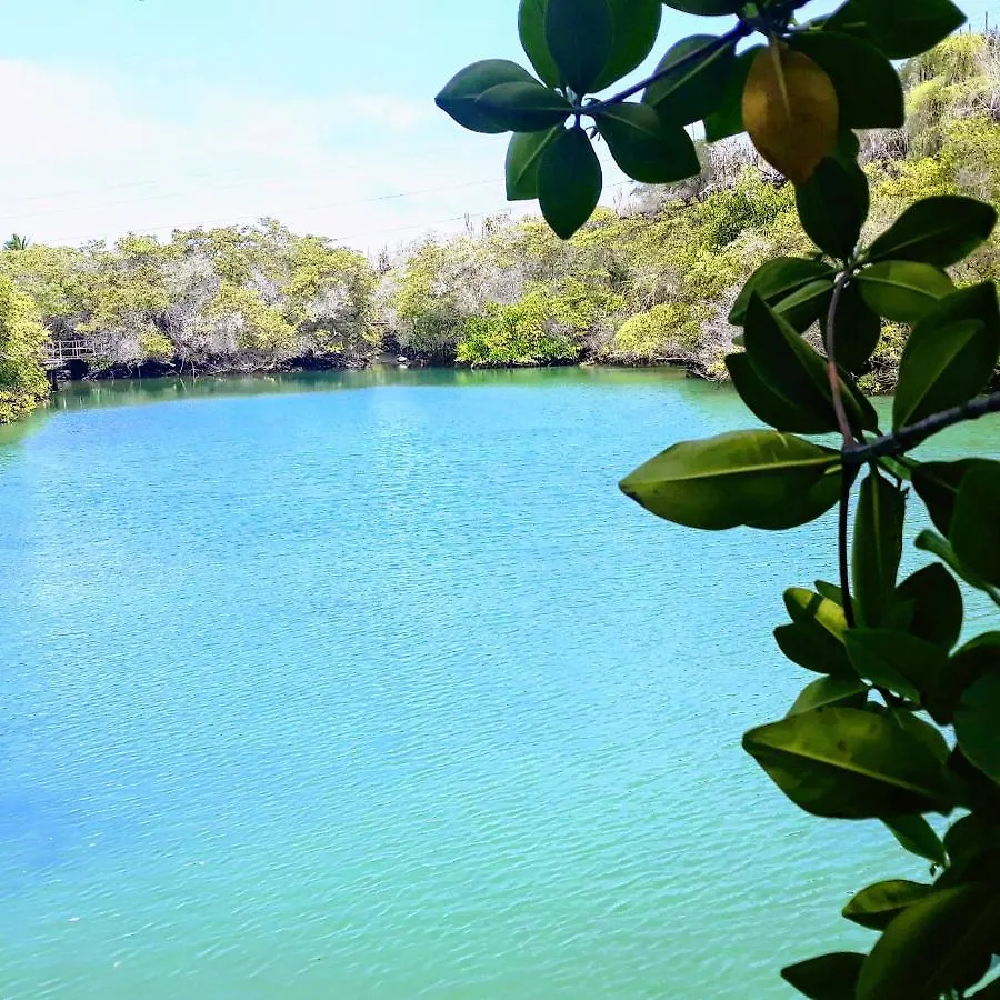 Suite Galarous Island Puerto Ayora  Διαμέρισμα